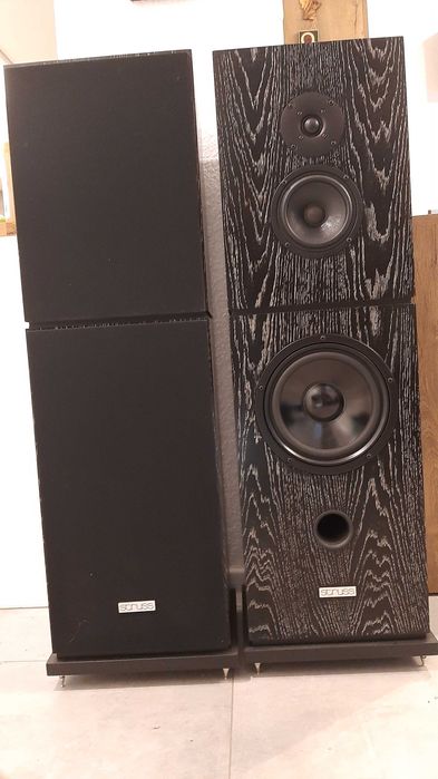 Zestaw wzmacniacz Hegel h 160 + kolumny Struss Polonez 1