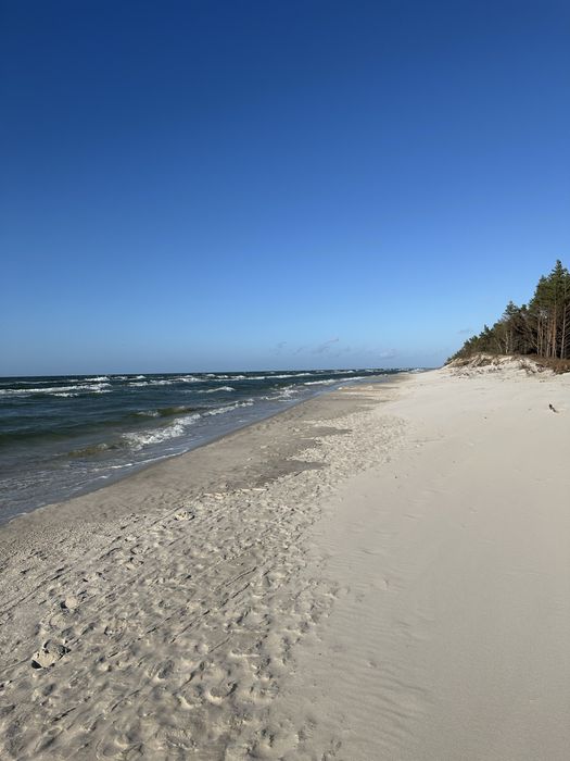 Domki całoroczne nad morzem z kominkiem w Sasinie