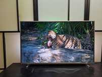 Philips 43cali 4K UHD Ambilight SMART telewizor