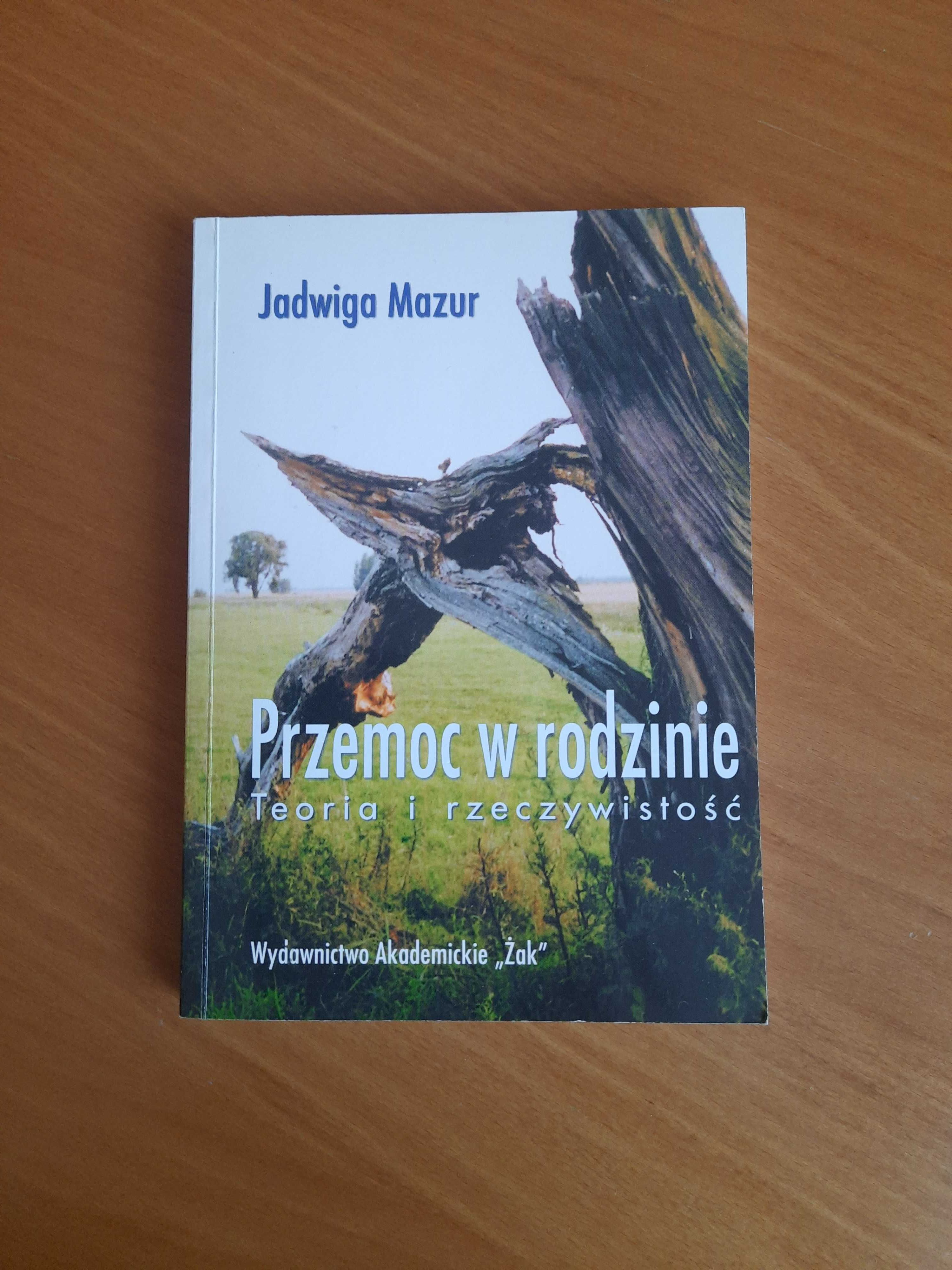 Książka: "Przemoc w rodzinie. Teoria i rzeczywistość."