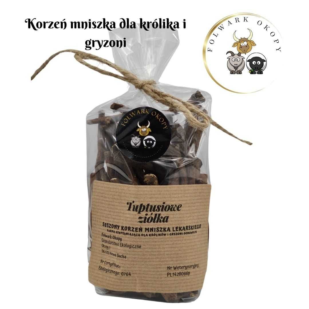 Suszony korzeń mniszka lekarskiego 100g dla gryzoni i królików