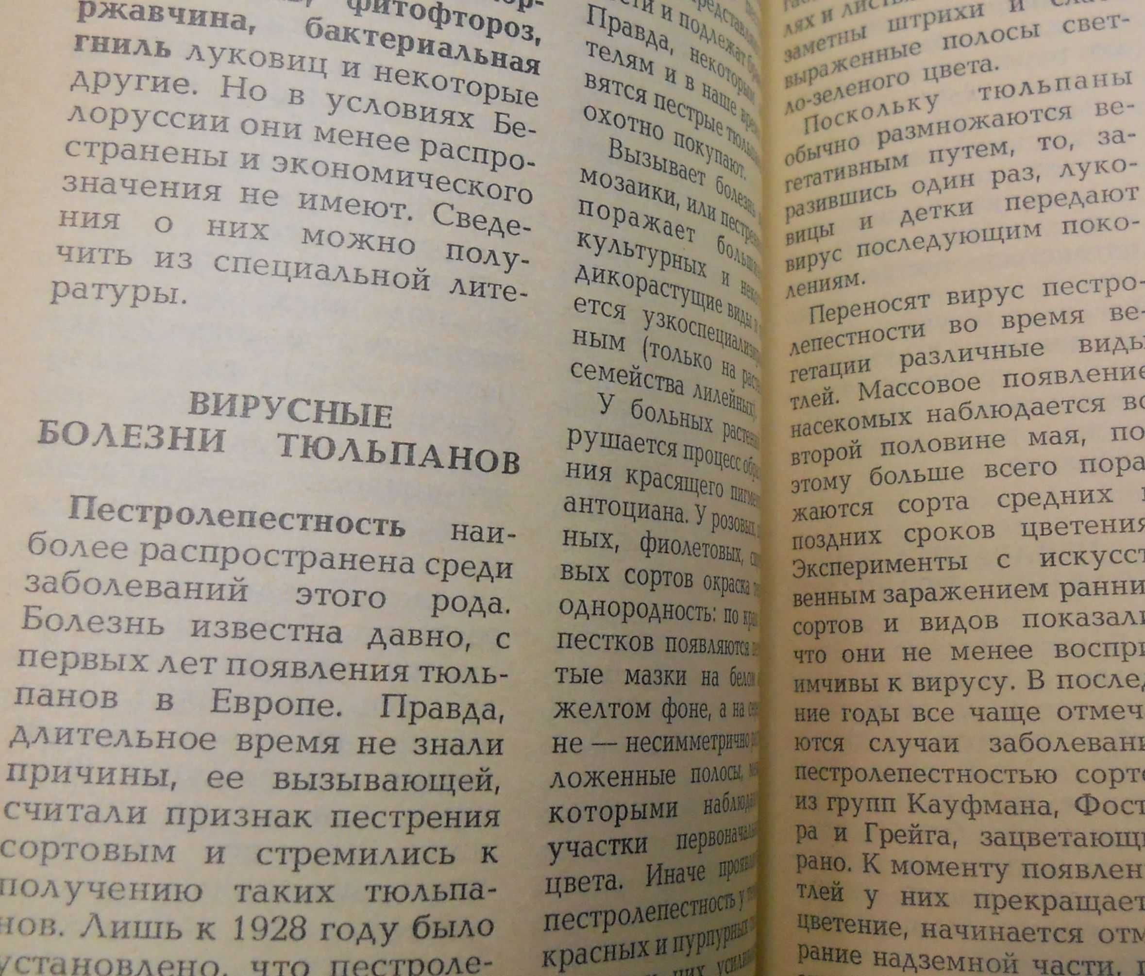 Тюльпаны - В.М.Кудрявцева справочное пособие.