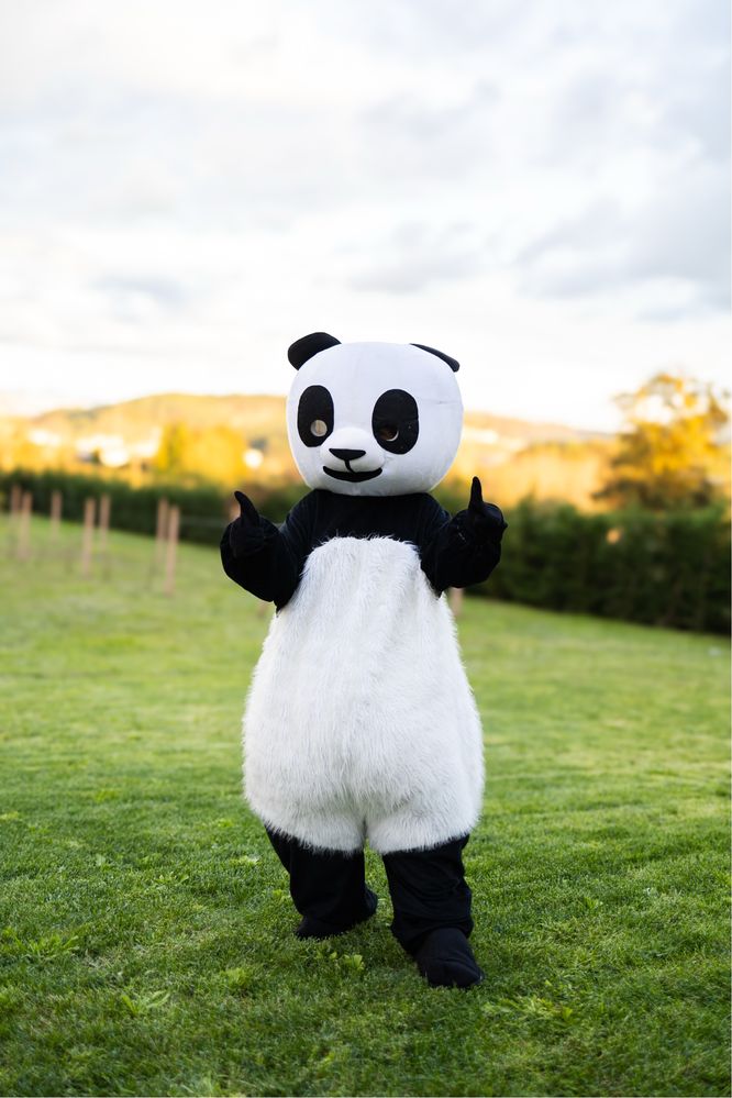 Presença de Mascotes