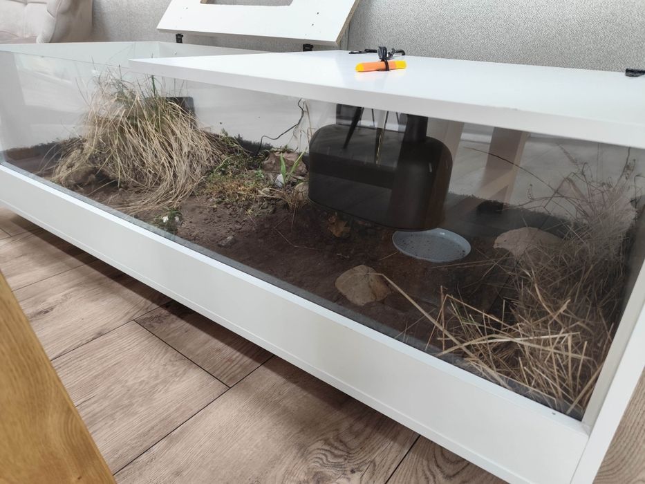 Terrarium dla jaszczurek, żółwi, gekonów