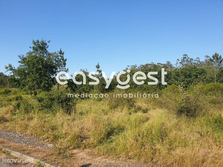 Terreno para construção entrada de Soure, junto área comercial