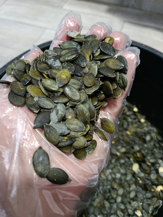 Гарбузове насіння голонасінне