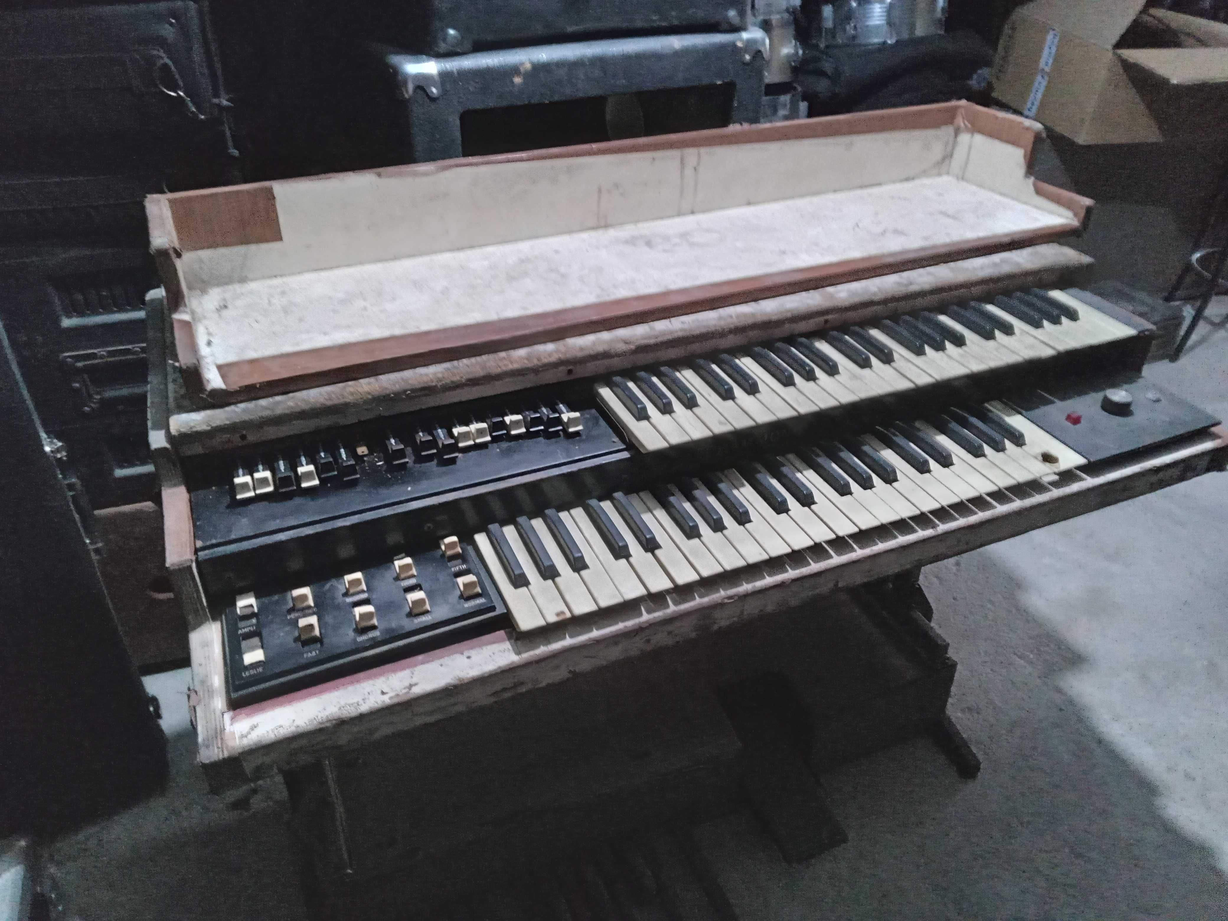 Orgão Hammond L100P rodofónico
