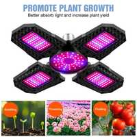 Lâmpada Led para cultivo de plantas