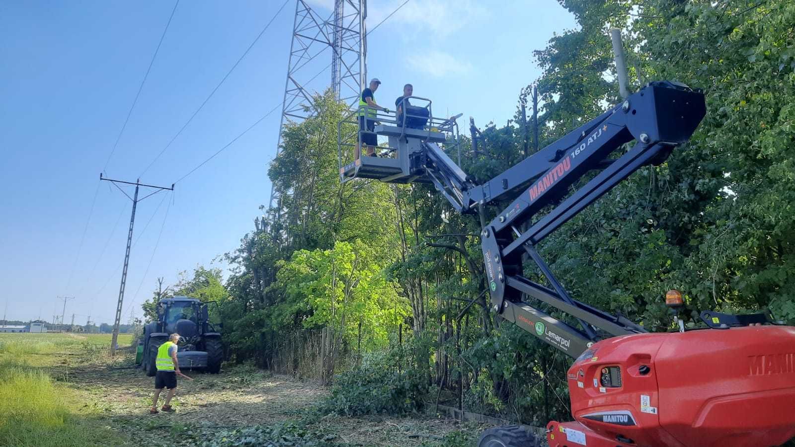 Porządkowanie działek z drzew krzewów Mulczer Karczowanie