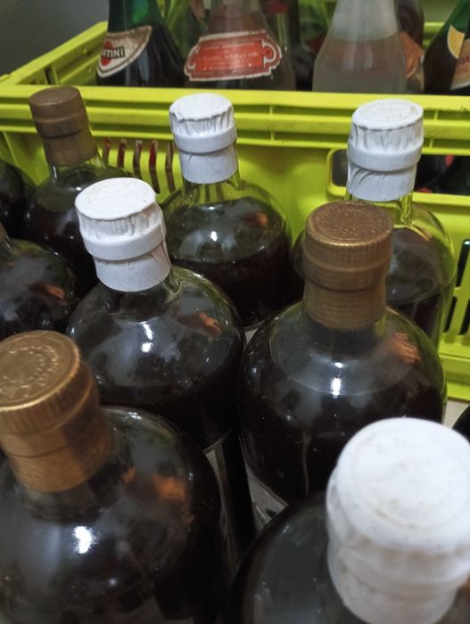 Lote 13 garrafas Mel Doiro