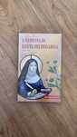 A Medicina da Santa de Hildegarda - Helmut Posch (PORTES INCLUÍDOS)