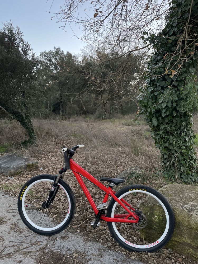 Dirt jump/ wheeling bike