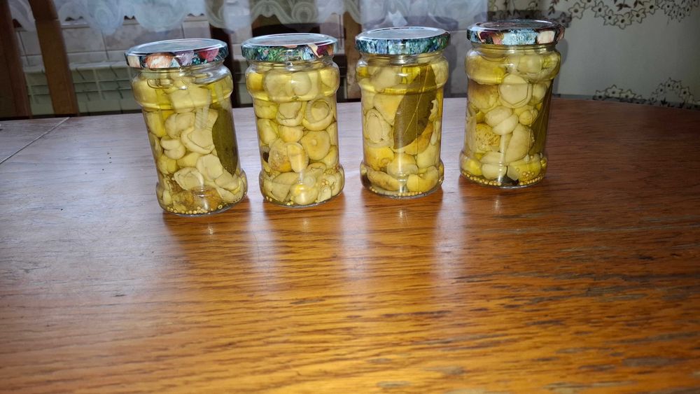 Borowik Prawdziwek Biały Marynowany 4x314ml. 2025