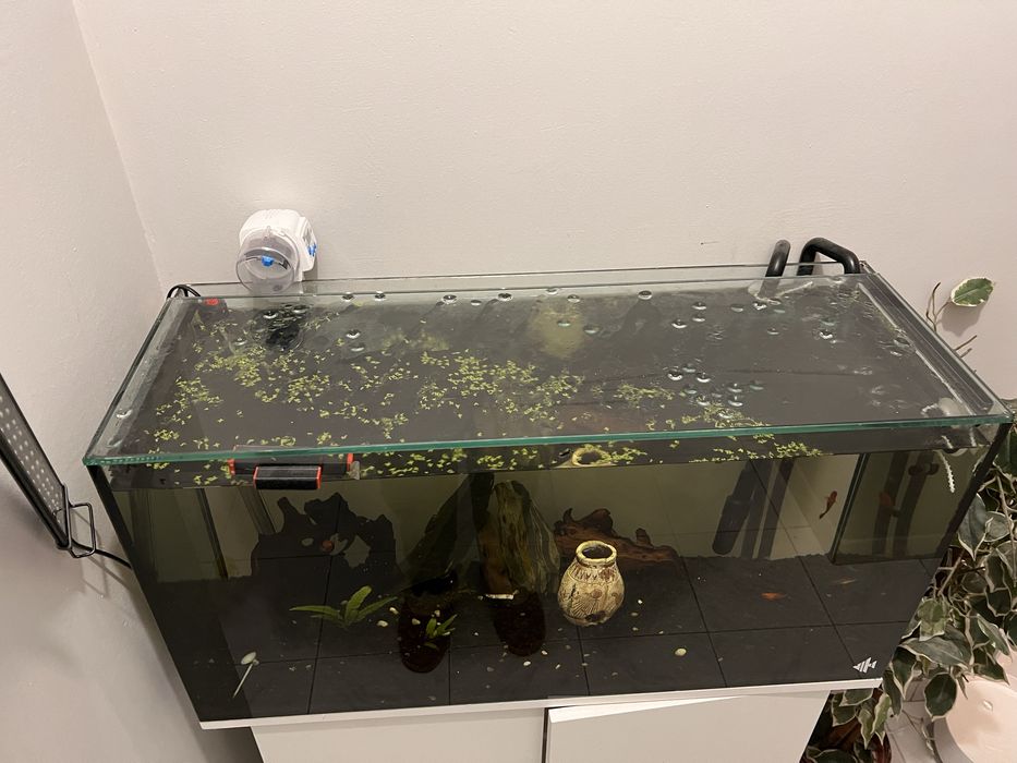 Aquario 80cm + armario   (acessorios oferta )
