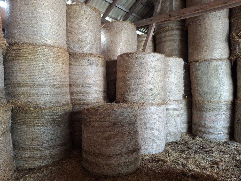 Słoma w belach  sucha oraz  bele kiszonki Lucerny , maszyny rolnicze