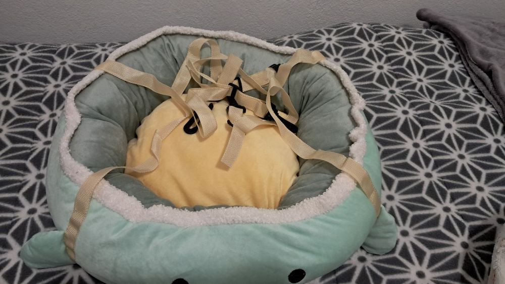 Cama para gatinho