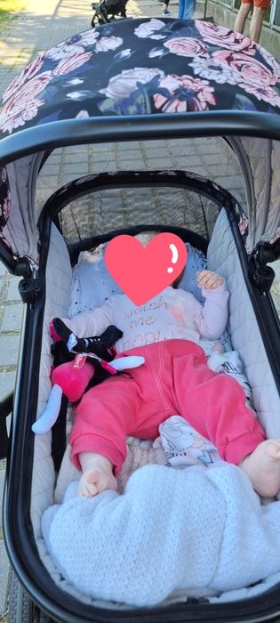 Wózek 2w1 Cavoe Duże KOŁA Axo Style La rose / Meteorite