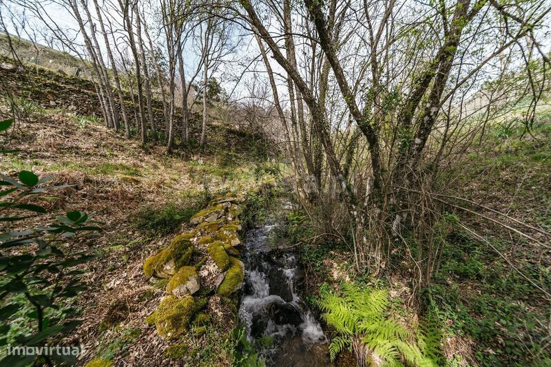 Quinta Estúdio / Sabugal, Santo Estêvão