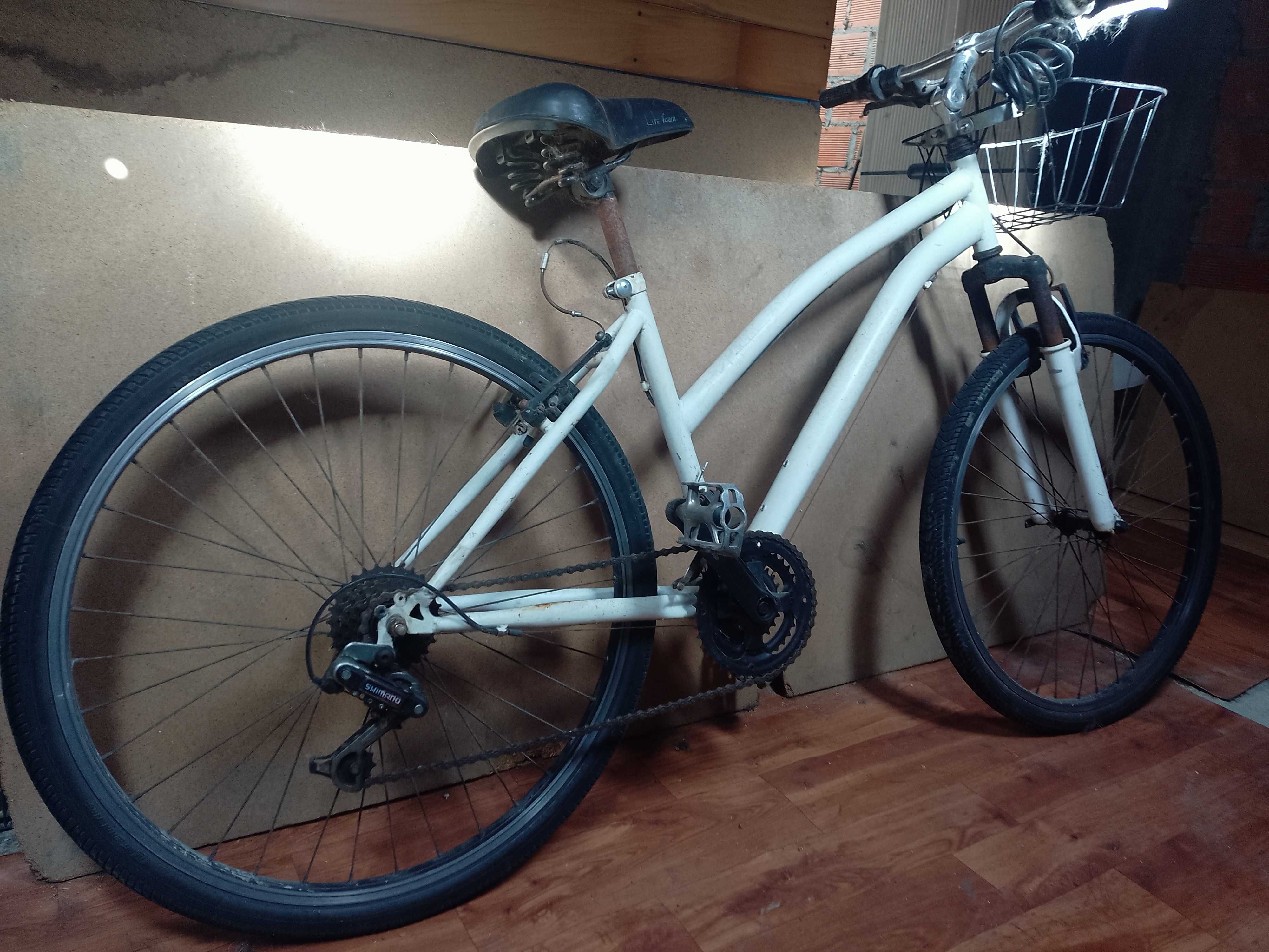 Bicicleta com quadro em ferro