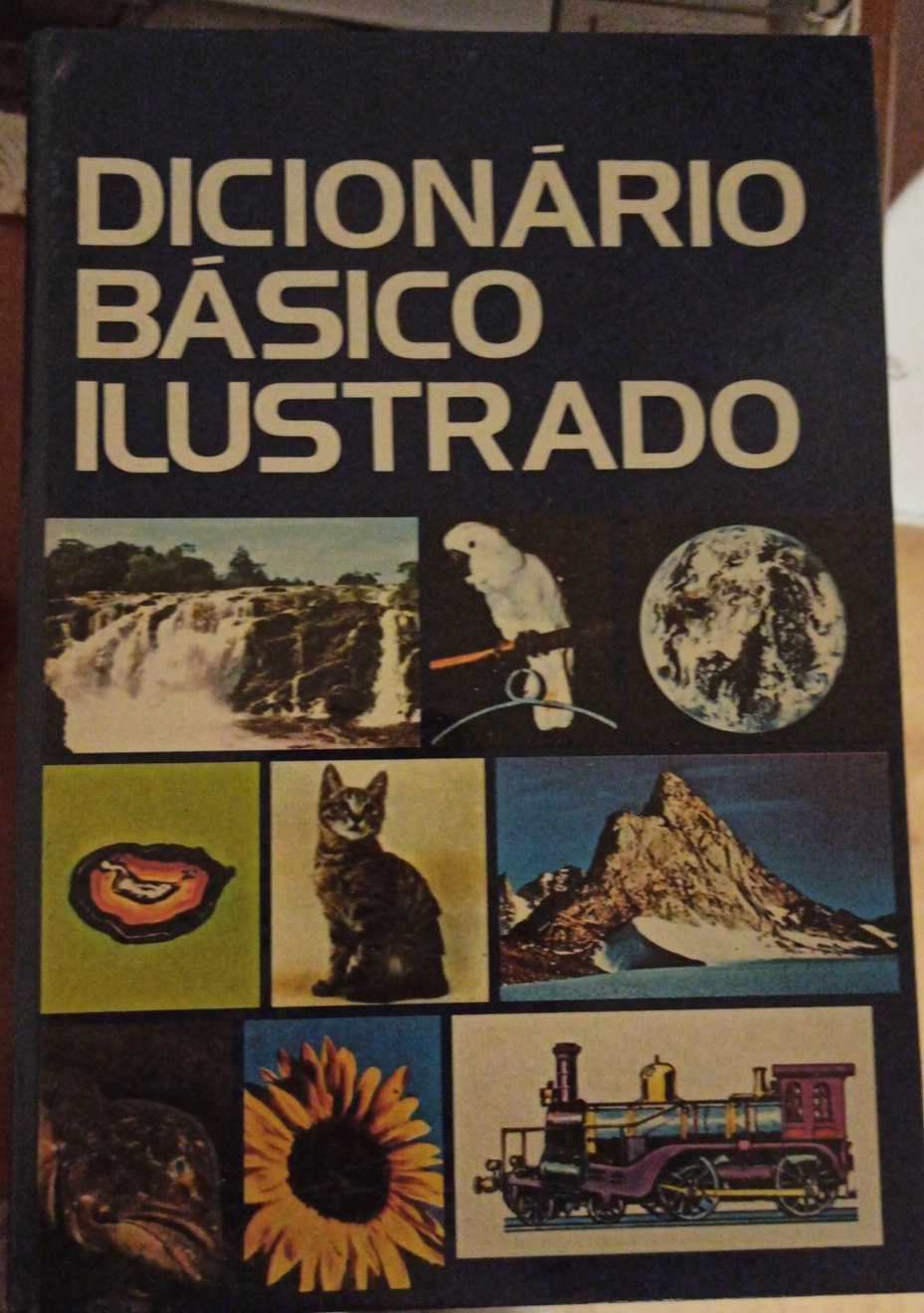 Dicionário básico ilustrado