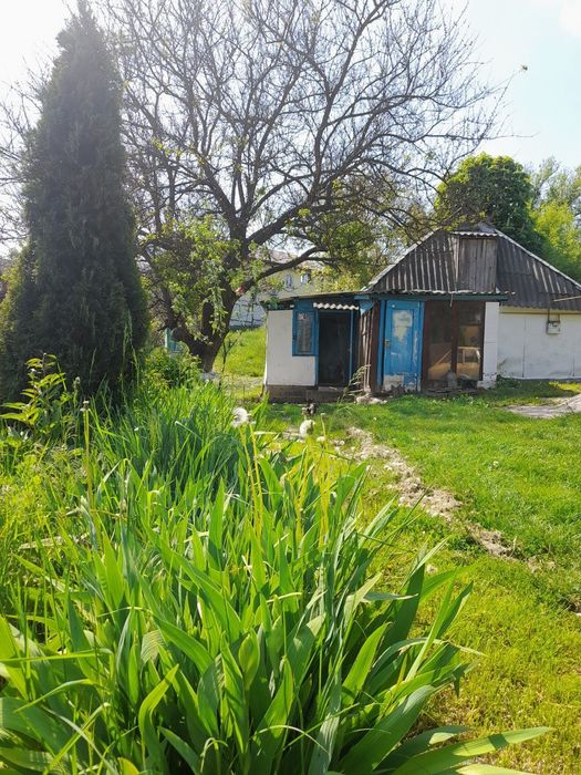 Продаж будинку в мальовничому селі