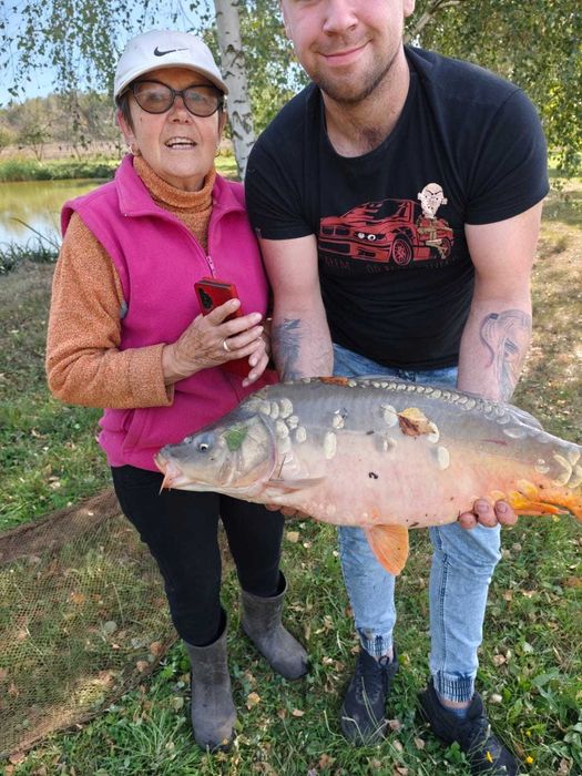 Sprzedam duże karpie