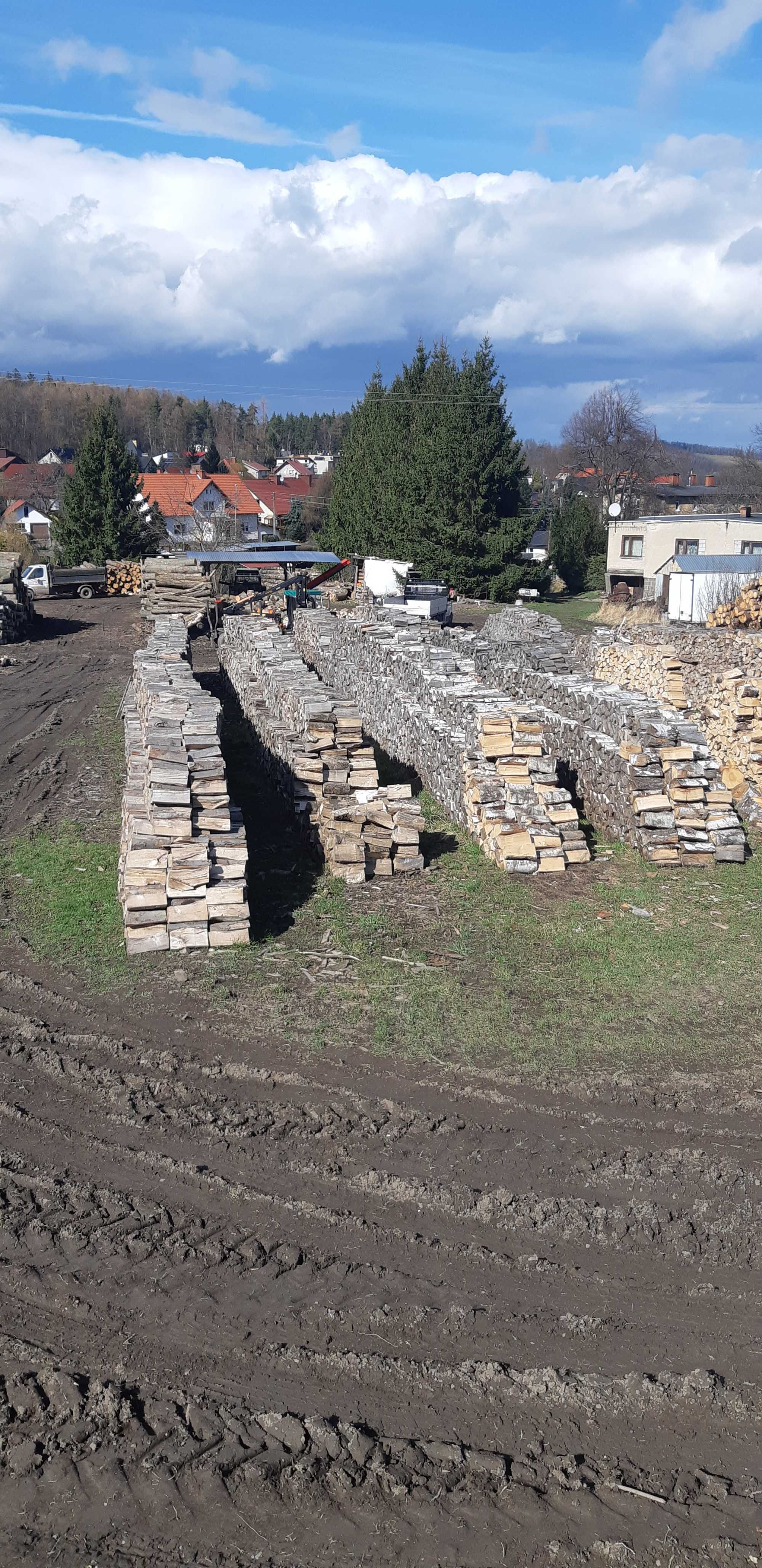 Drewno kominkowe i opałowe od 250 zł suchy buk jesion brzoza