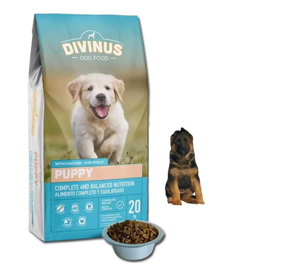 Divinus Puppy Sucha Karma dla Szczeniąt 20kg