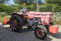 Trator U.T.B U-445