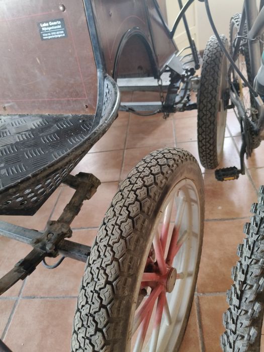 Conjunto cavalo charrete e arreios