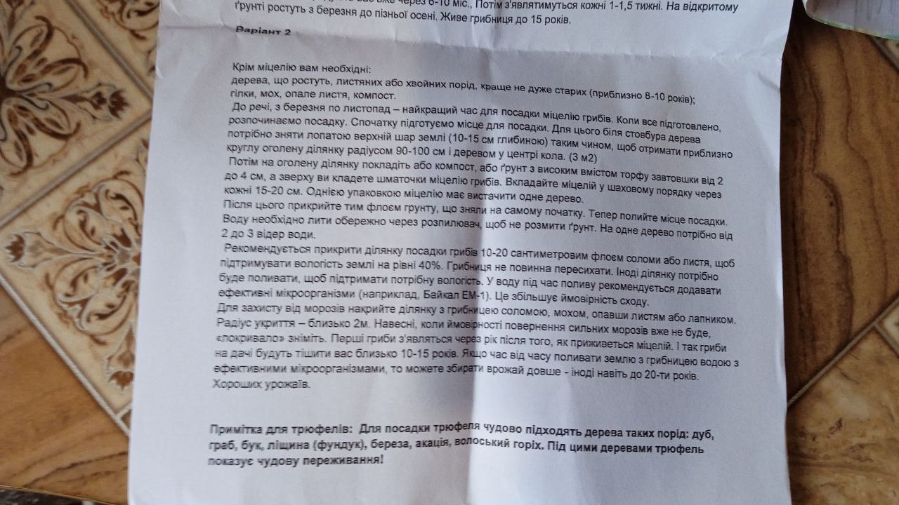 Міцелій Підберезника звичайного (живий 100гр)