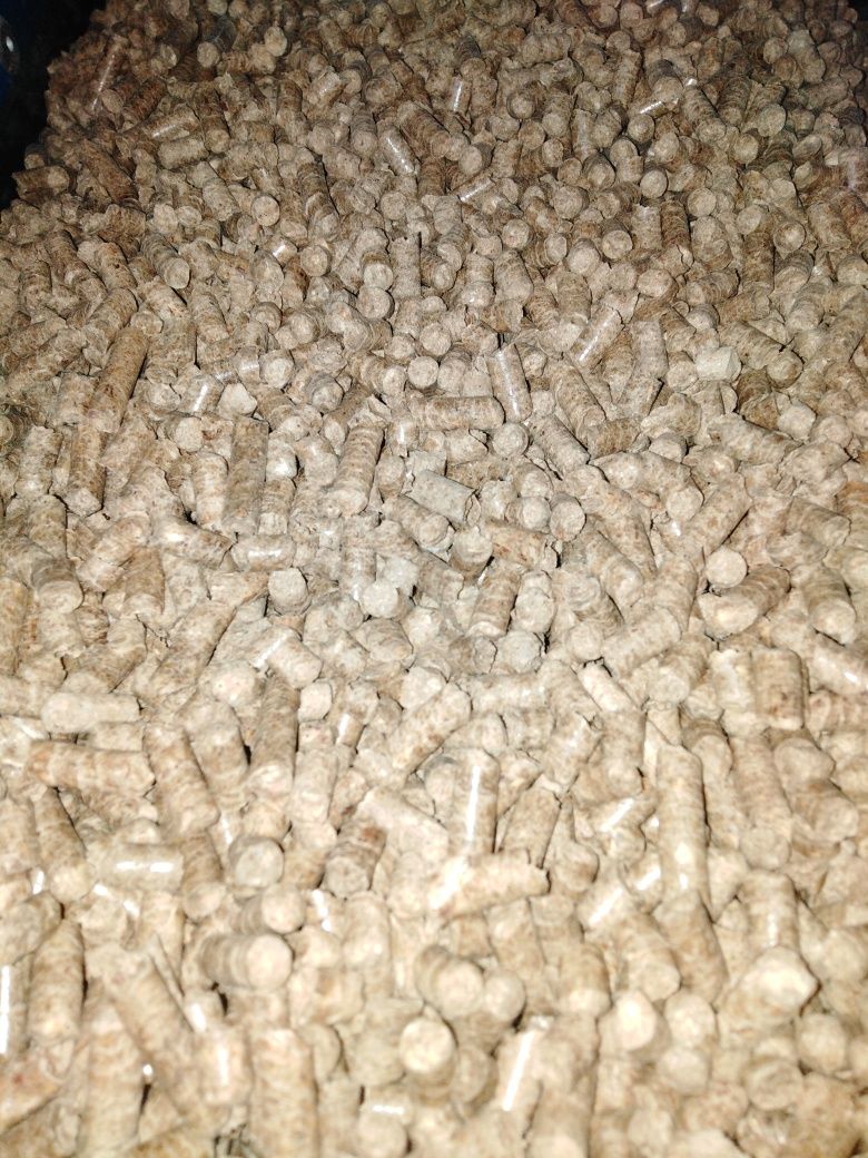 Pellet drzewny pelet PRODUCENT