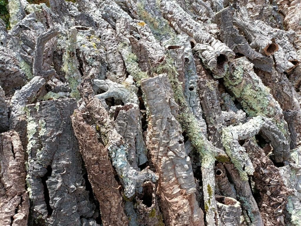 TUBOS DE CORTIÇA NATURAL PARA TERRÁRIOS – 4,20€/kg | Pombal