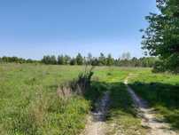 Абрамівка, 2 га, ОСГ, біля села, близько комунікації