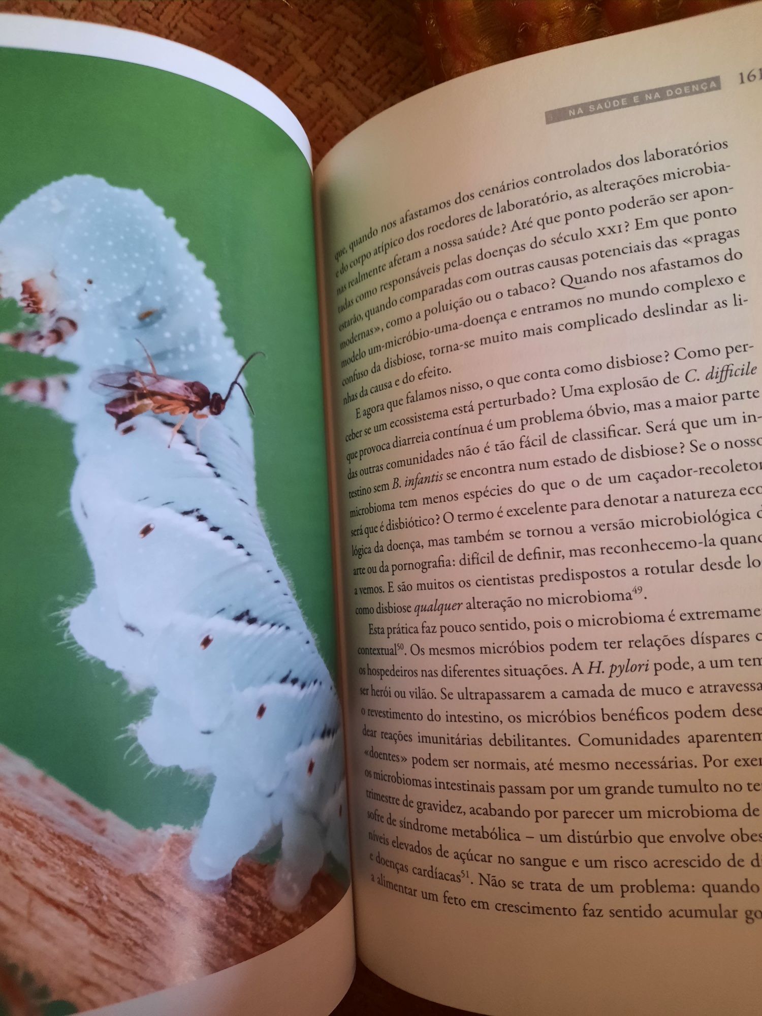 Nós, os micróbios  e uma visão alargada da vida