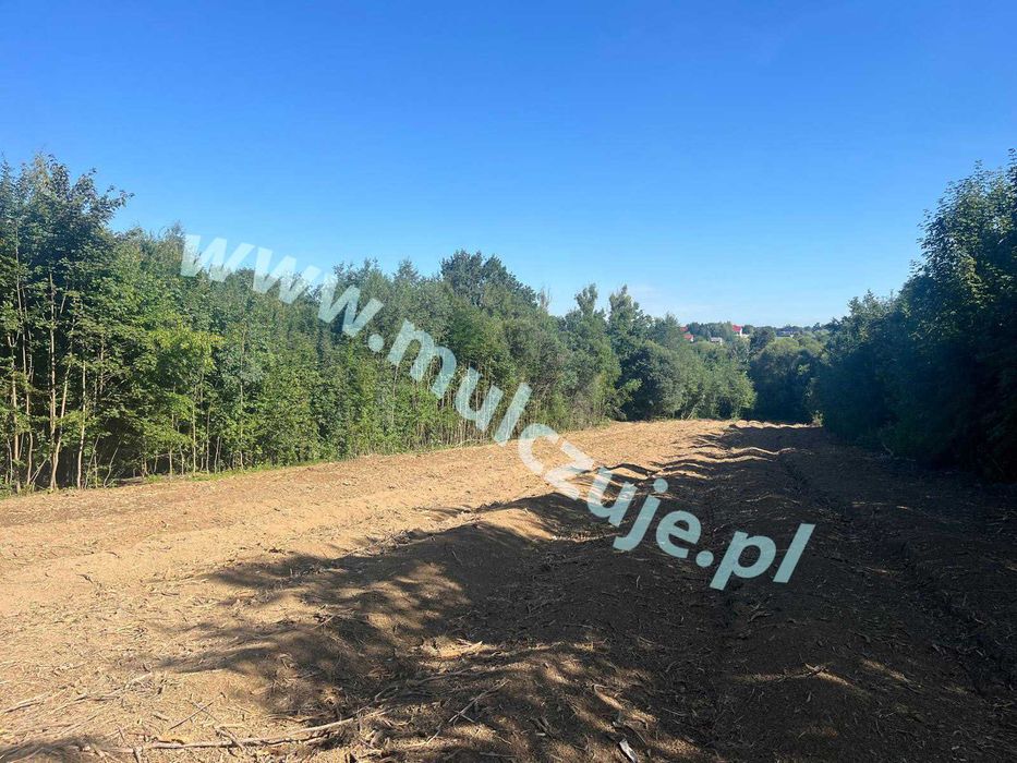 Mulczer leśny wgłębny, powierzchniowy, Karczowanie Czyszczenie działek