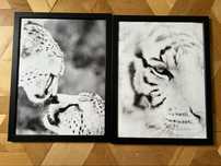 Ikea obrazy plakat ramka safari  tygrys