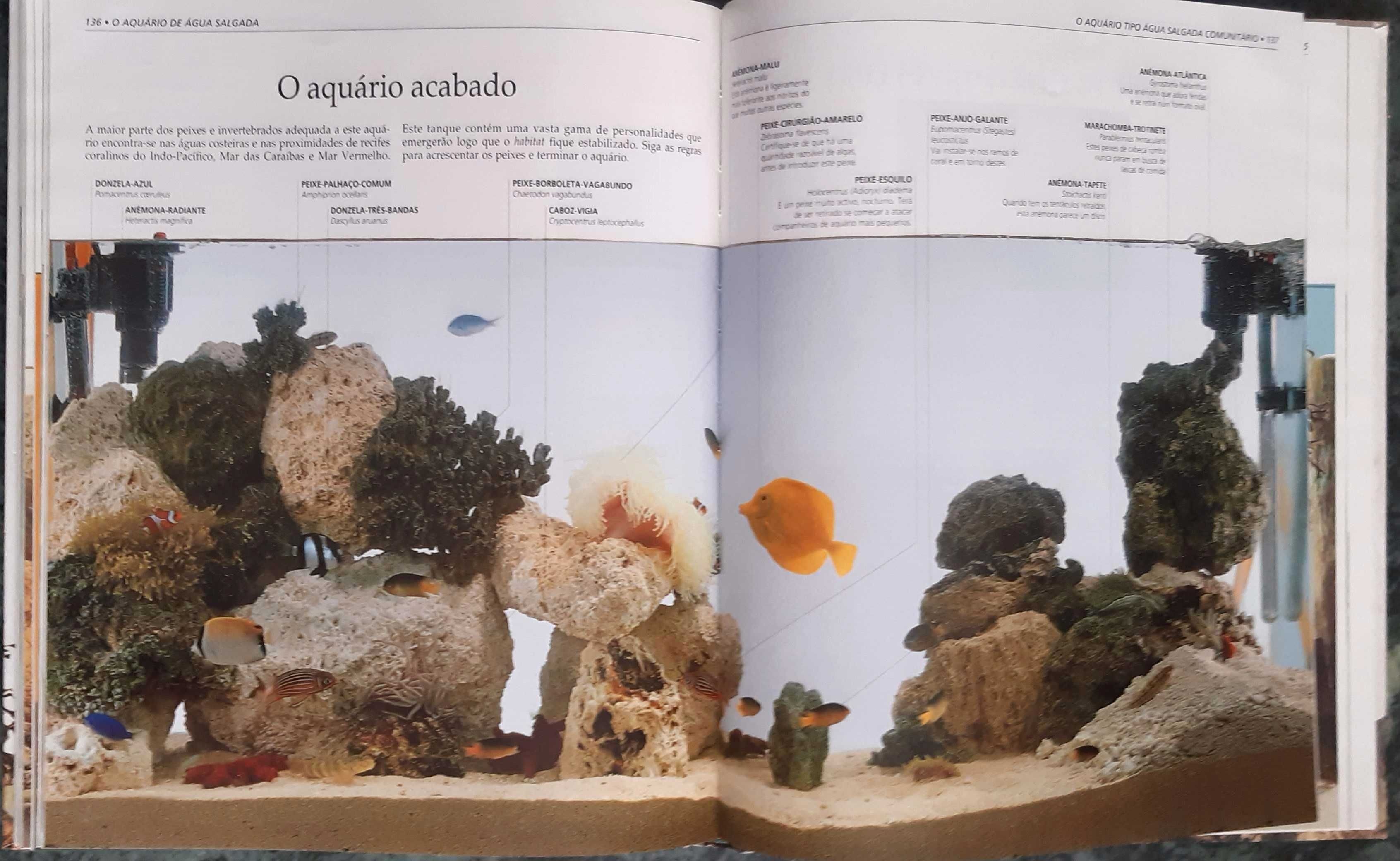 "O Grande Livro Do Aquário" Editora Livros e Livros