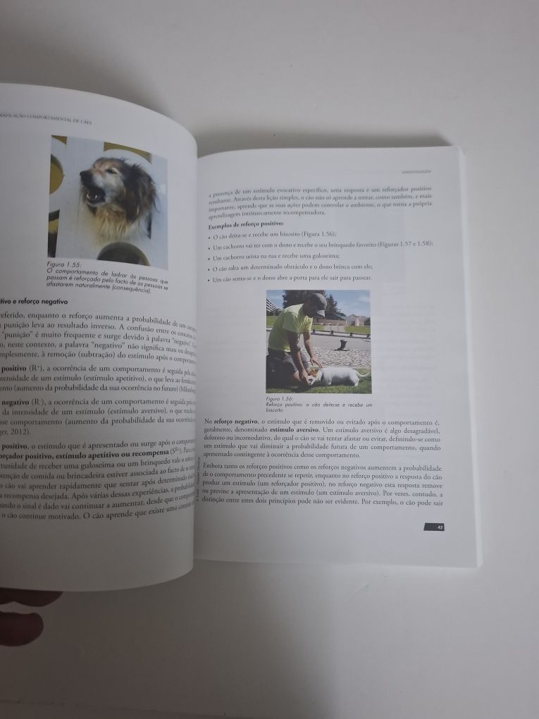 Treino e Modificação Comportamental de Cães