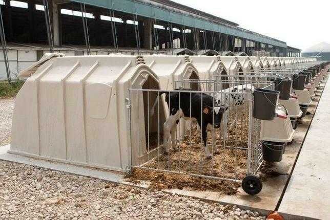 Budka dla cieląt Pro II CALF-TEL iglo dla cieląt, domek dla cielaka