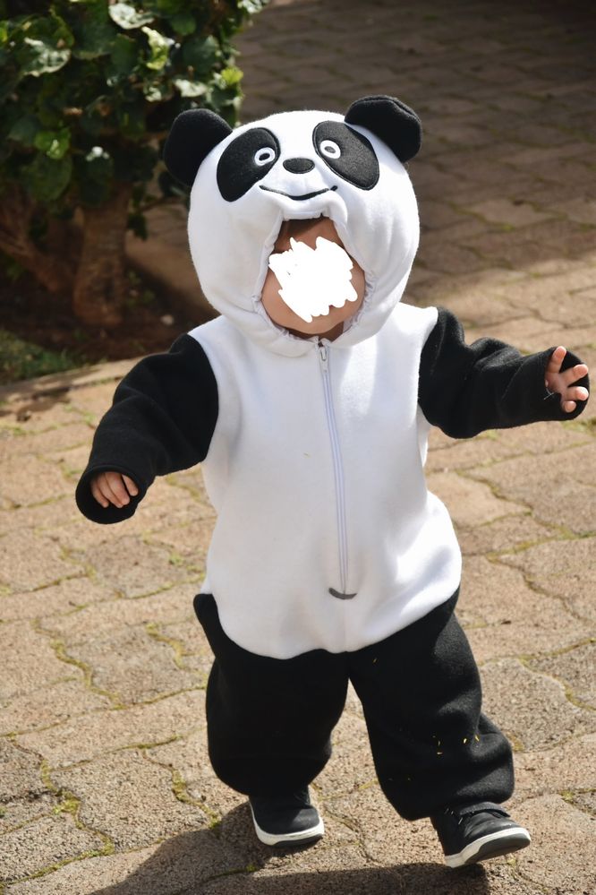 Disfarce Carnaval Panda 12-18 meses