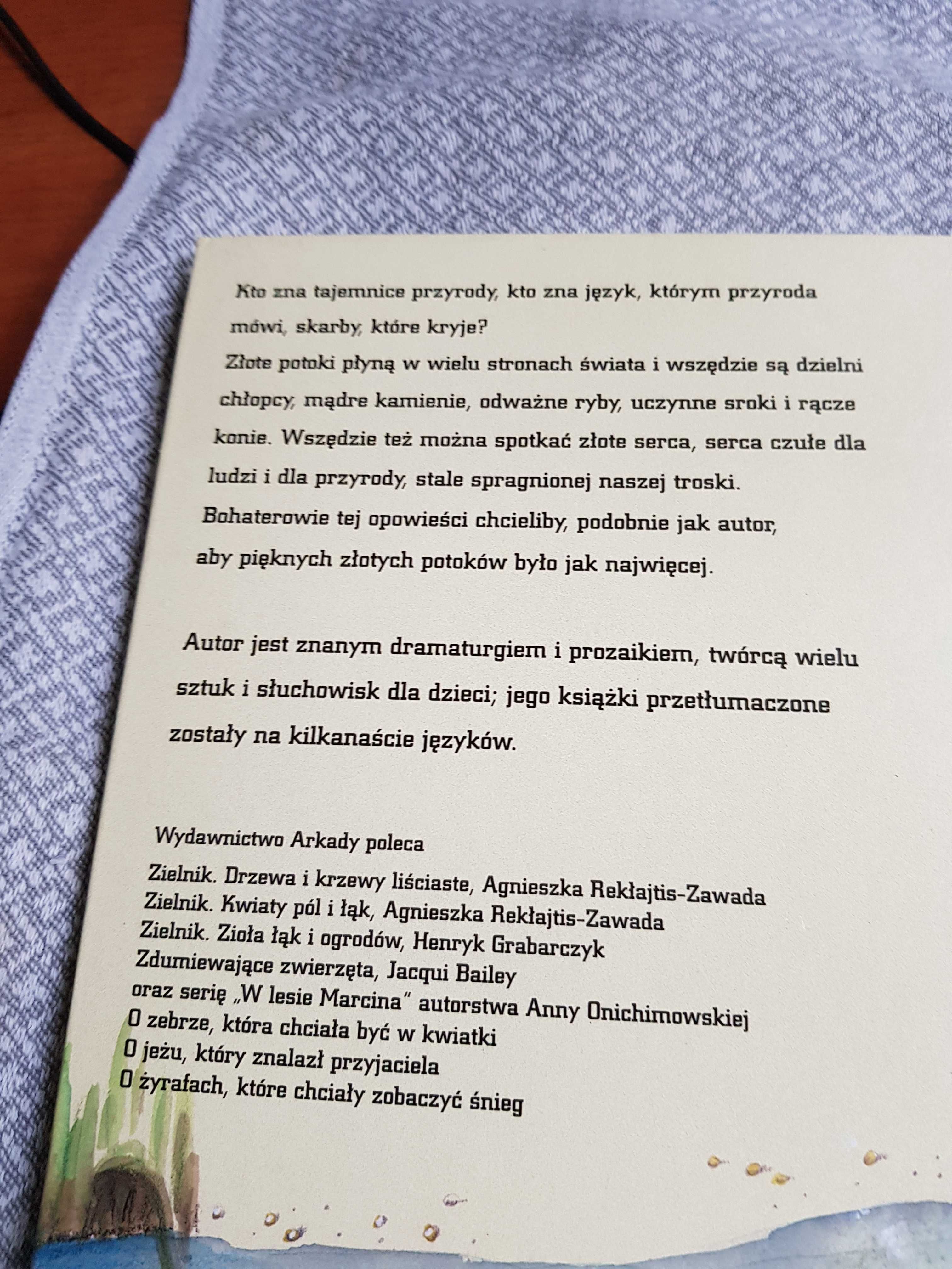Książka dla dzieci "Złoty potok" - Bardijewski Henryk