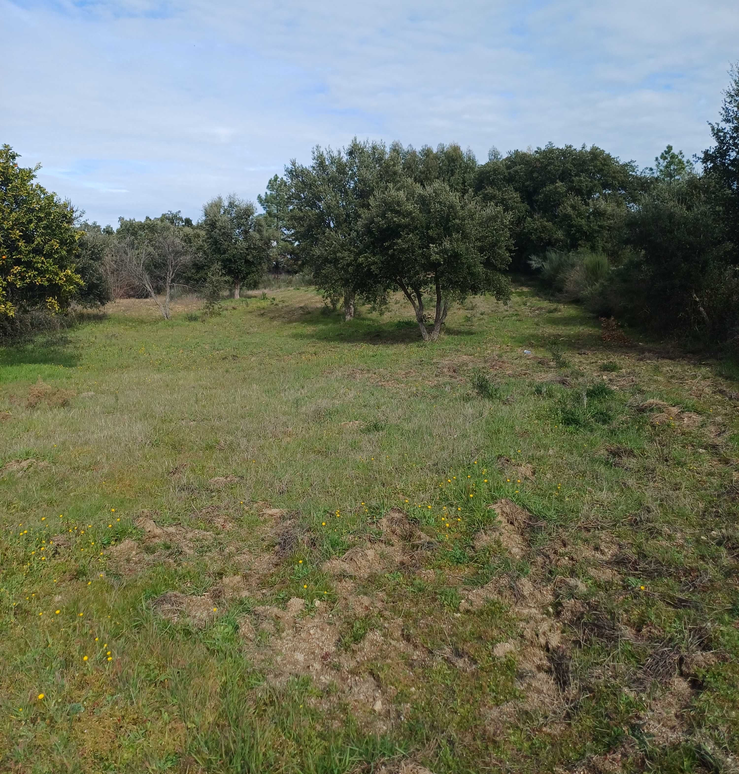 Terreno com palheiro e poço!