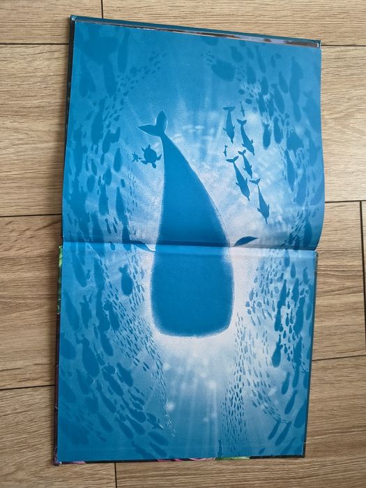 Książka dla dzieci "Wieloryb, który chciał więcej" stan bdb