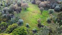 Terreno com 12.000 m²