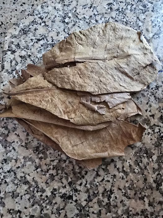 Varios artigos para aquário