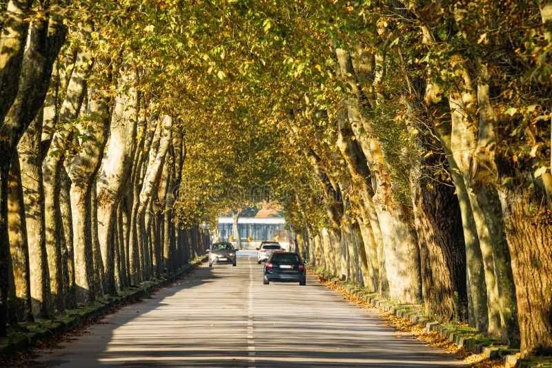 T2 Cabedelo Darque Viana. Moradia Piso Superior entrada propria.