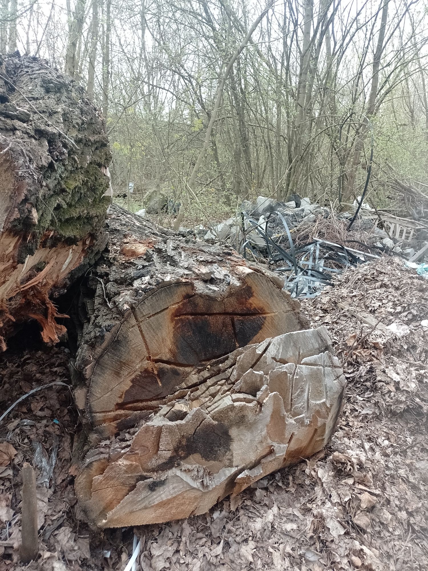На дрова или на тырсу