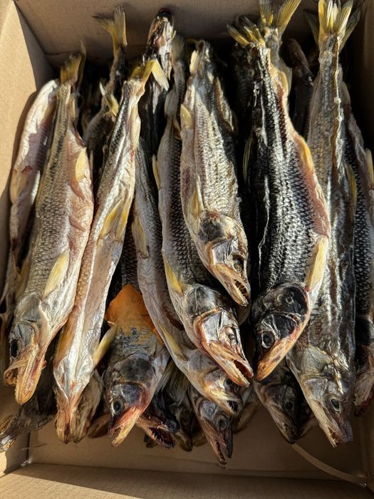 Корюшка с икрой вяленая 25см+ Одесса