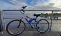 Bicicleta de passeio